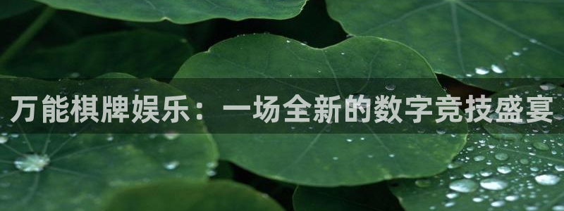 韦德1946安卓二维码：万能棋牌娱乐：一场全新的数字竞技盛宴