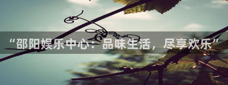 韦德1946源于英国：“邵阳娱乐中心：品味生活，尽享欢乐”