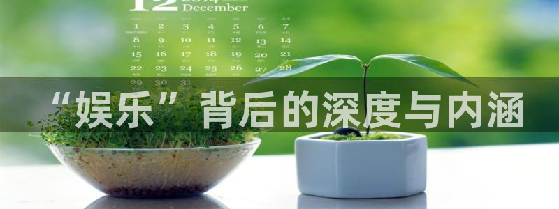 韦德1946最新网站：“娱乐”背后的深度与内涵