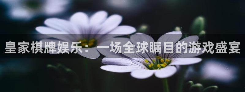 韦德1946最新网站：皇家棋牌娱乐：一场全球瞩目的游戏盛宴