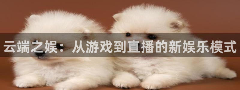 韦德1946安卓二维码：云端之娱：从游戏到直播的新娱乐模式